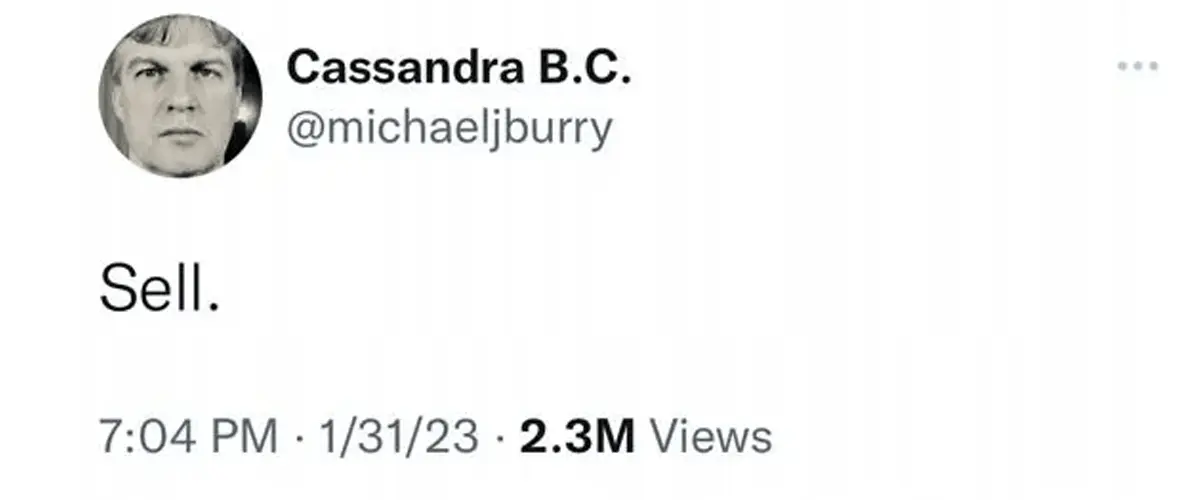 大空頭傳奇邁克爾·伯裏押注與Palantir和Nvidia看跌期權對抗AI熱潮