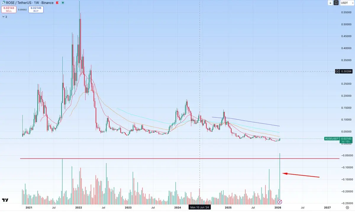 repost-content-media