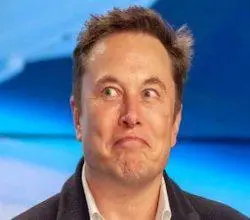 Trump e Musk conversam sobre políticas durante 2 horas na X Space, uma série de memes políticos Token brincando e construindo posições