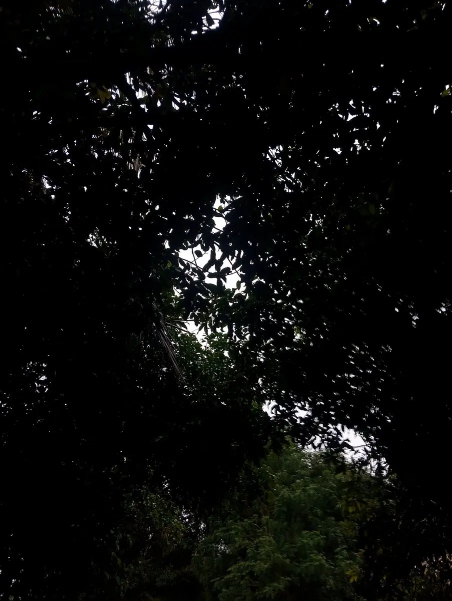 post-image