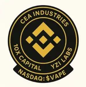 The richest Chinese operates the BNB treasury, an unnamed small-cap stock surged 600%