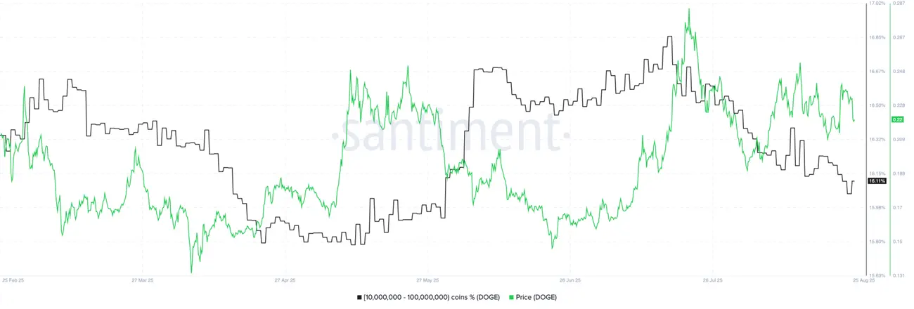 adresses détenant entre 10 millions et 100 millions de jetons DOGE