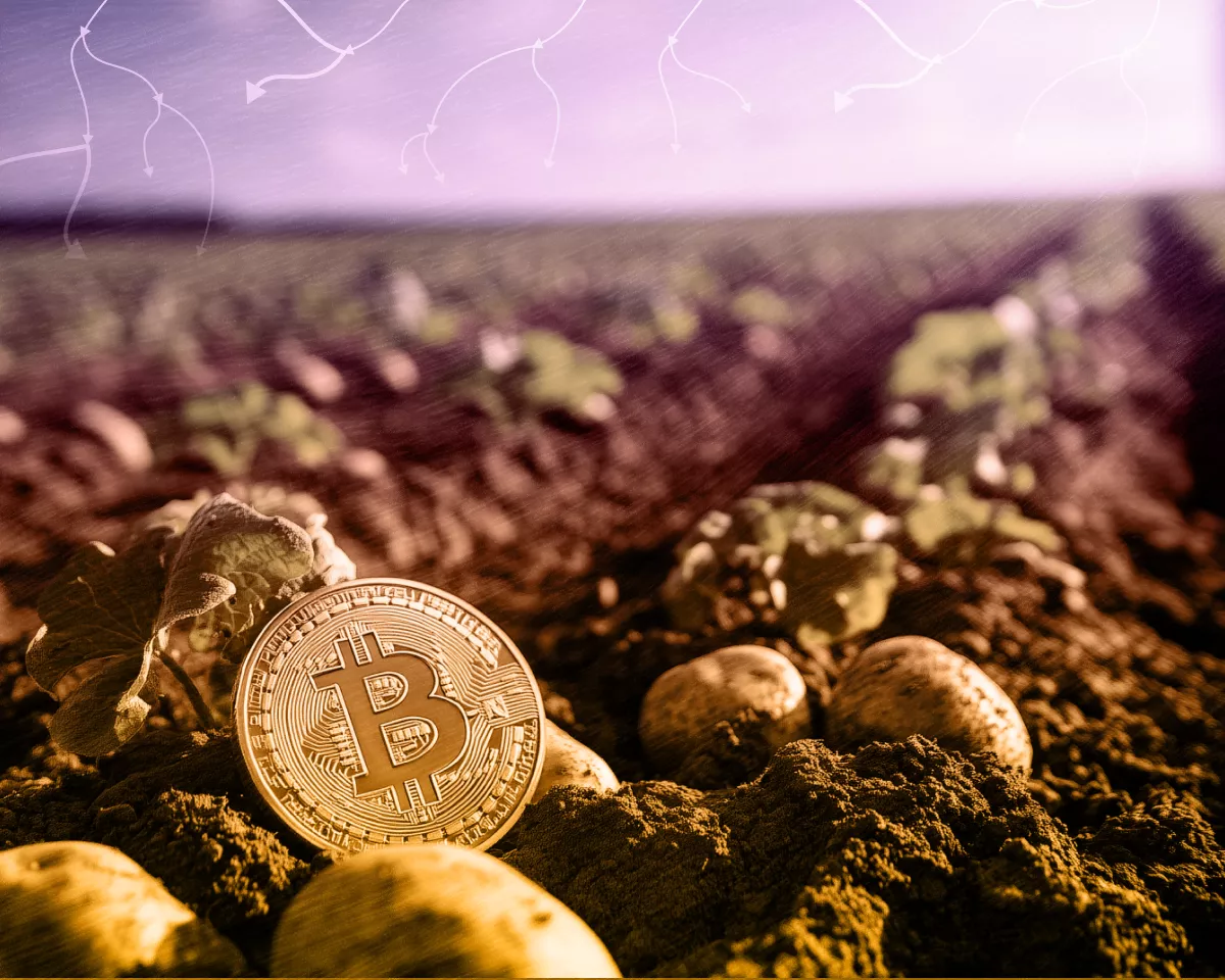 minería de bitcoin en bielorrusia minsk bielorrusia minería de bitcoin