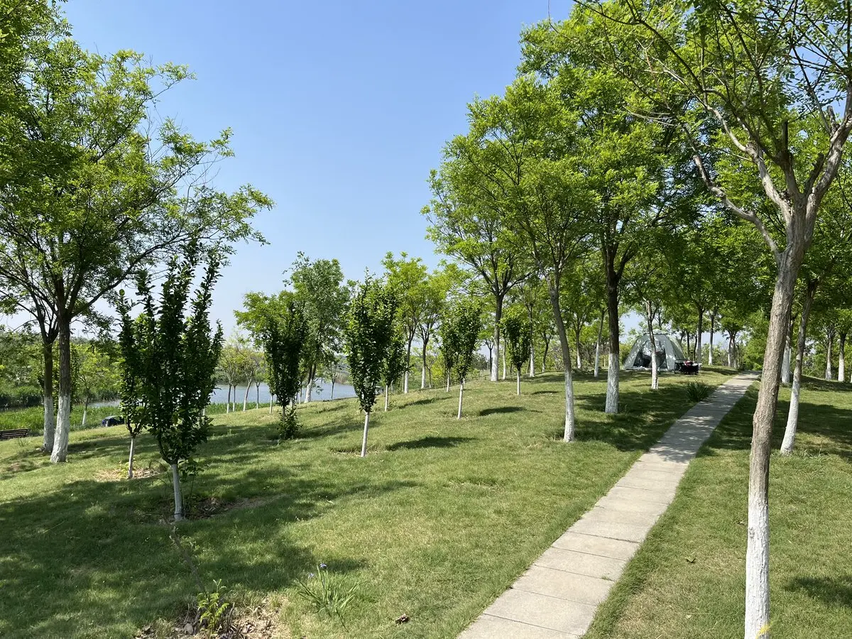 post-image