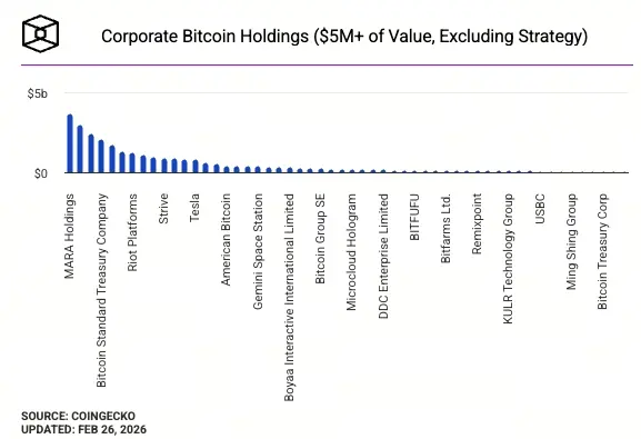 Company Bitcoin Holdings