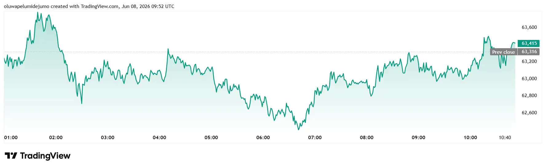 Bitcoin Price Performance