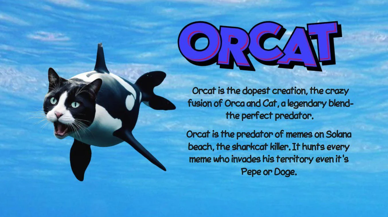 Le récit de "Cat Meme" est brûlant, faisant le point sur 5 projets dignes d'attention