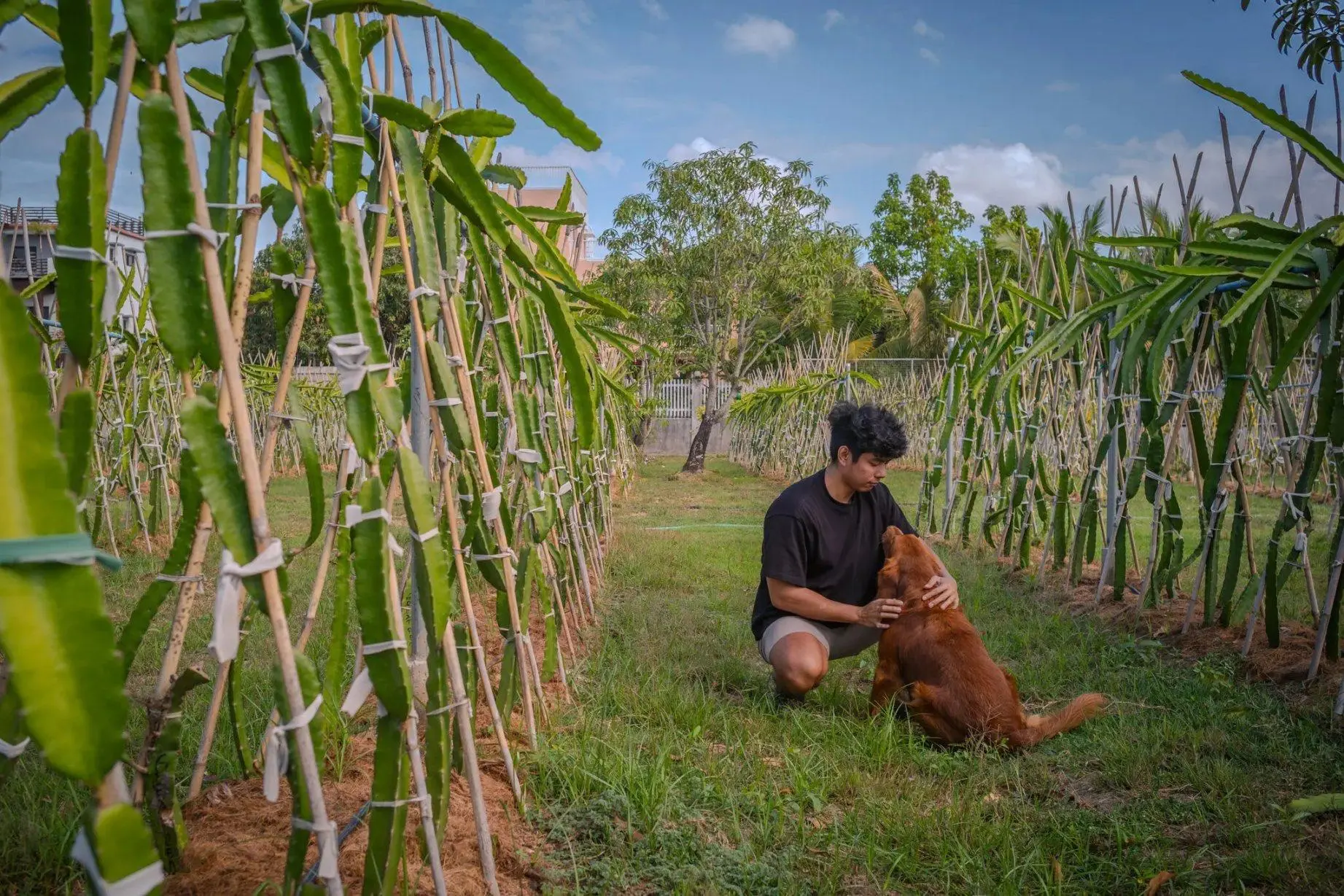 Surga permainan kripto, Filipina kembali hadir