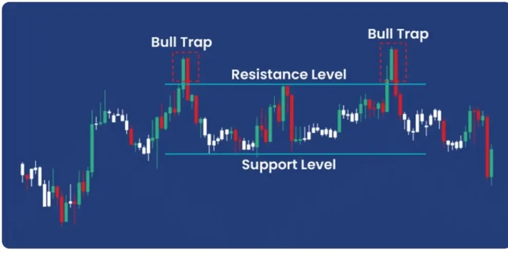 repost-content-media