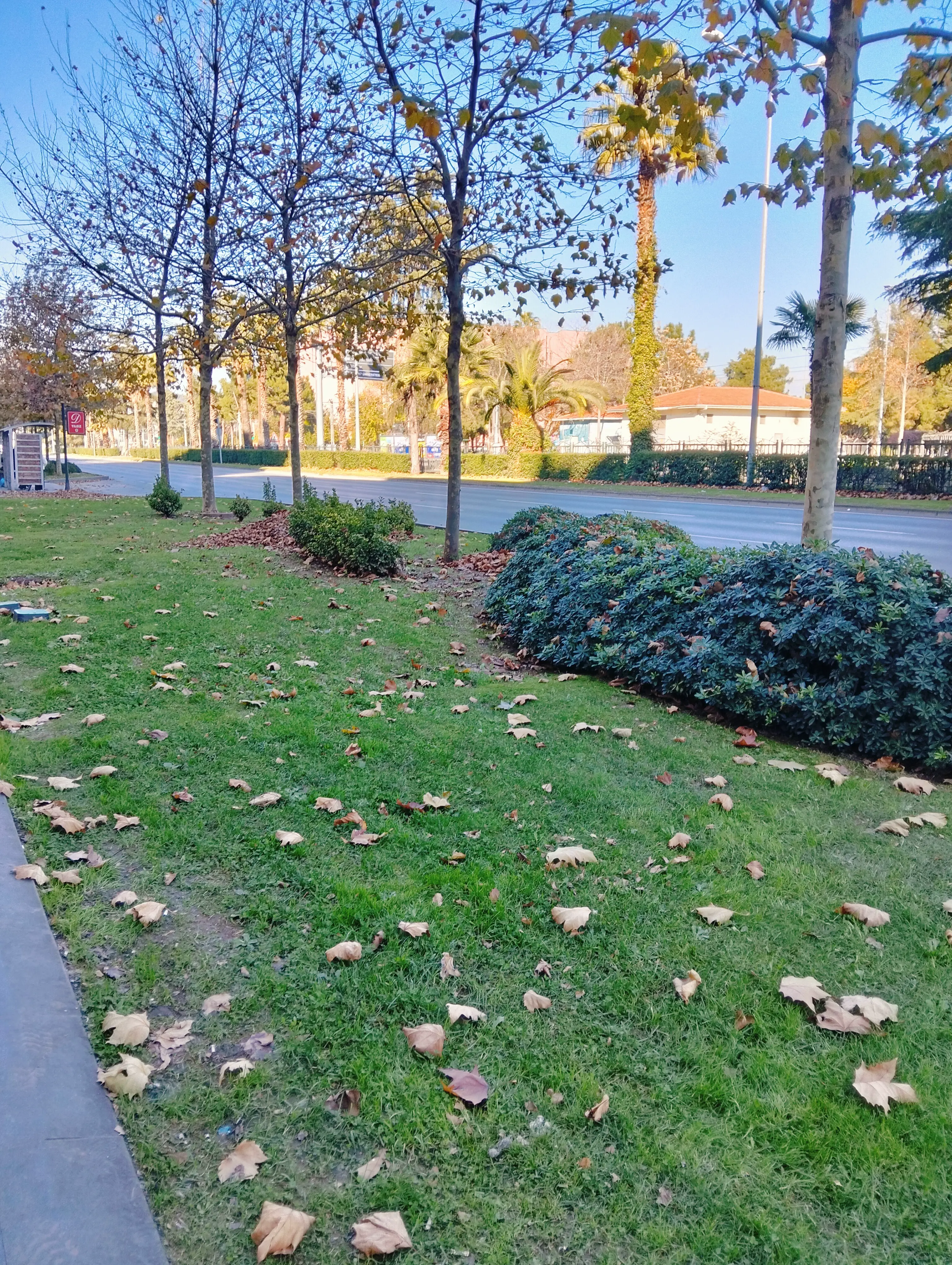 post-image