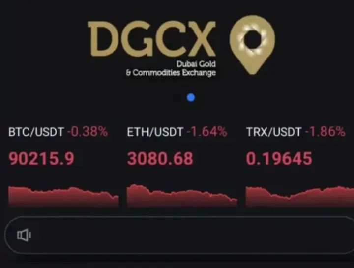 Kejatuhan Skema DGCX Xin Kang Jia: Ke mana 13 miliar dana pergi?