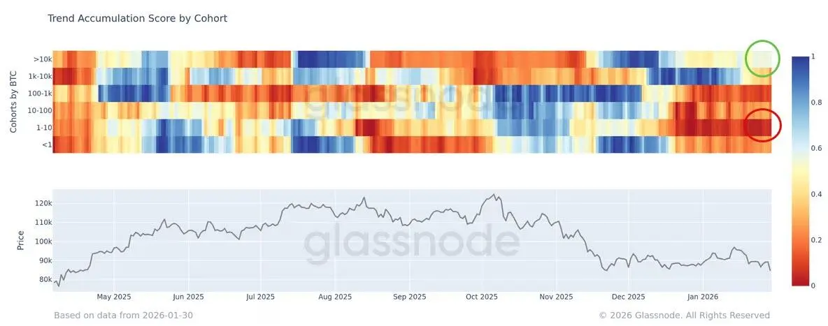 Bitcoin accumulation trend
