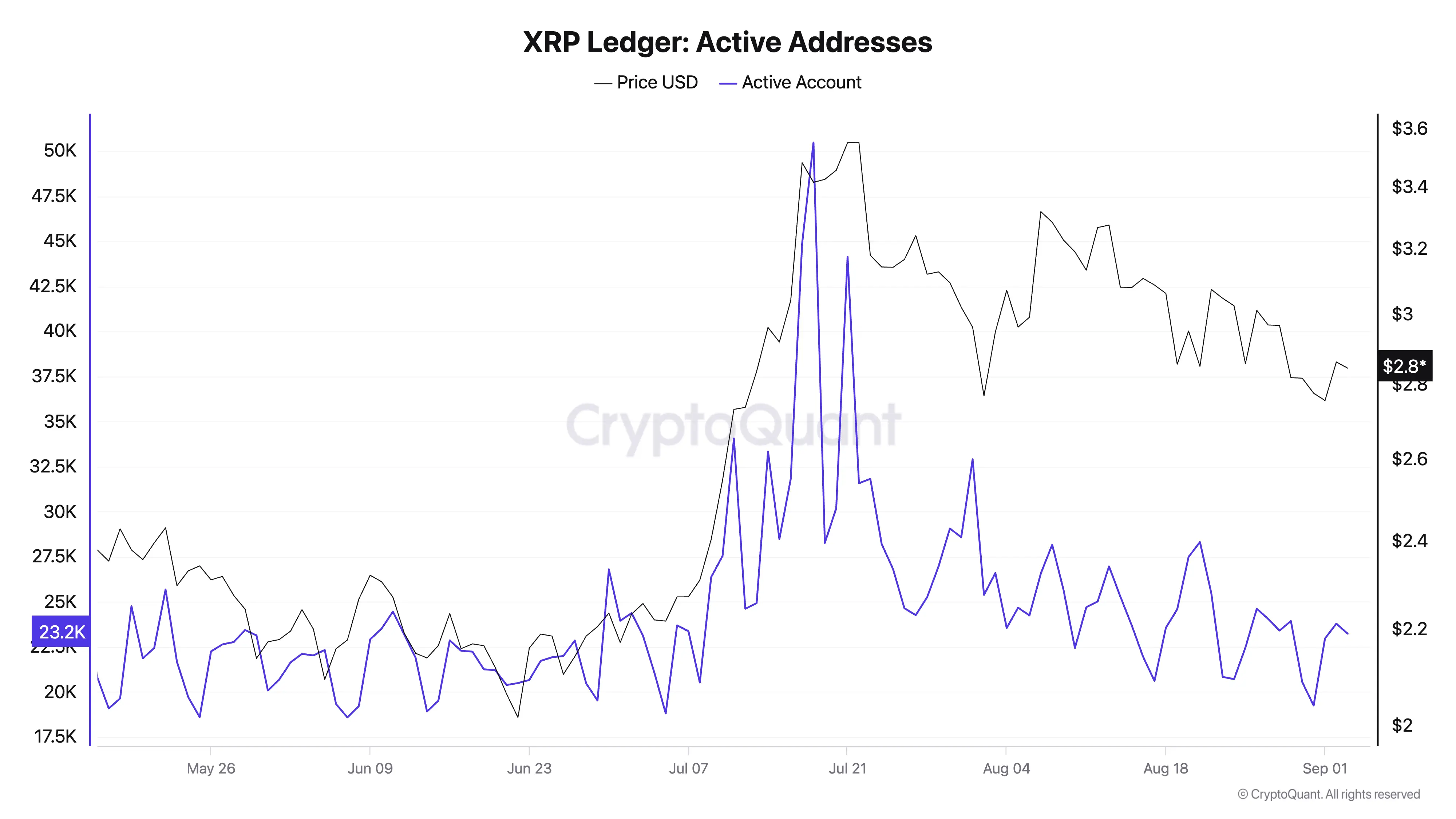XRP endereços ativos