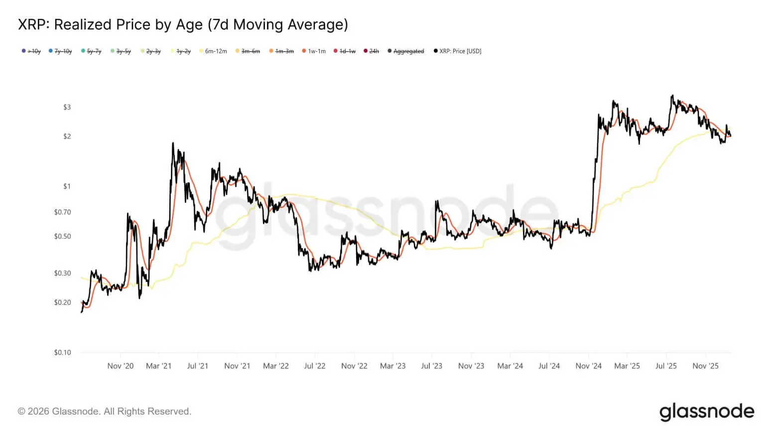 XRP投資者年齡層