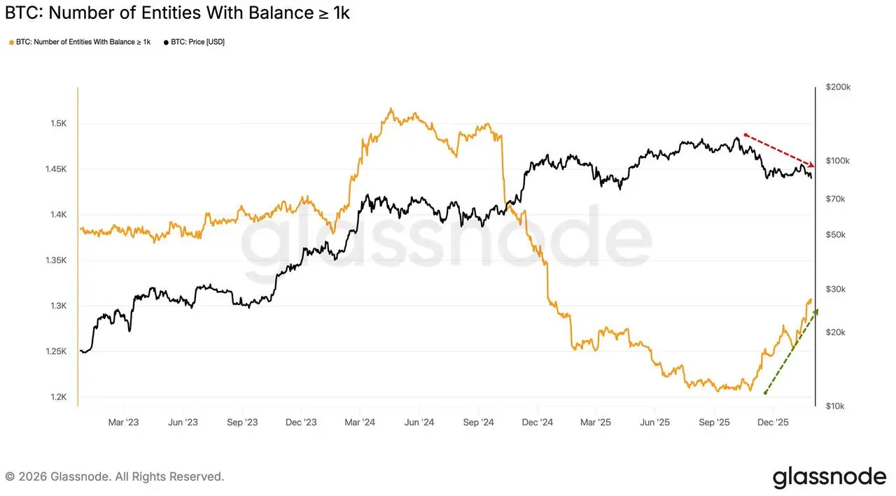 Number of independent entities holding at least 1,000 Bitcoin