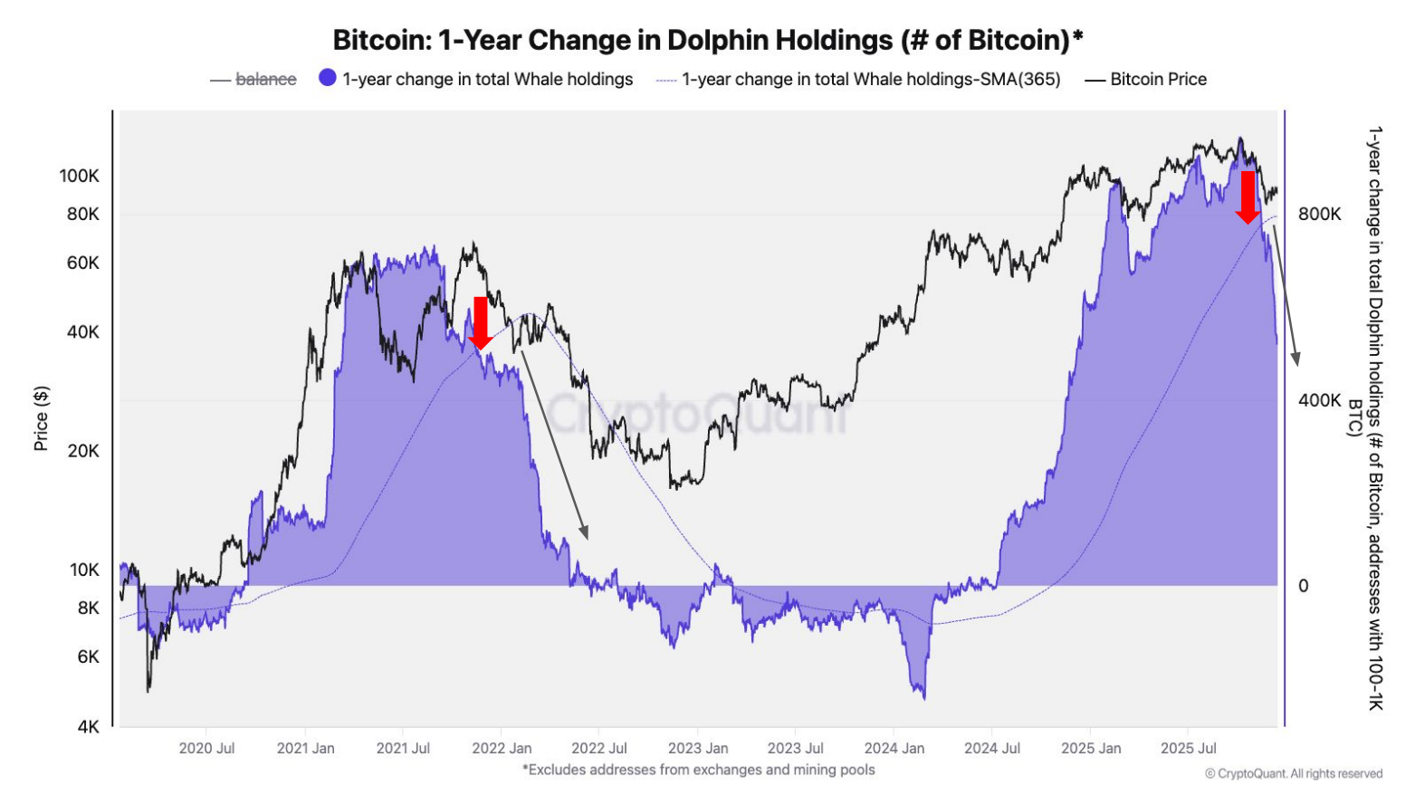 Yearly Change in Dolphin Holdings