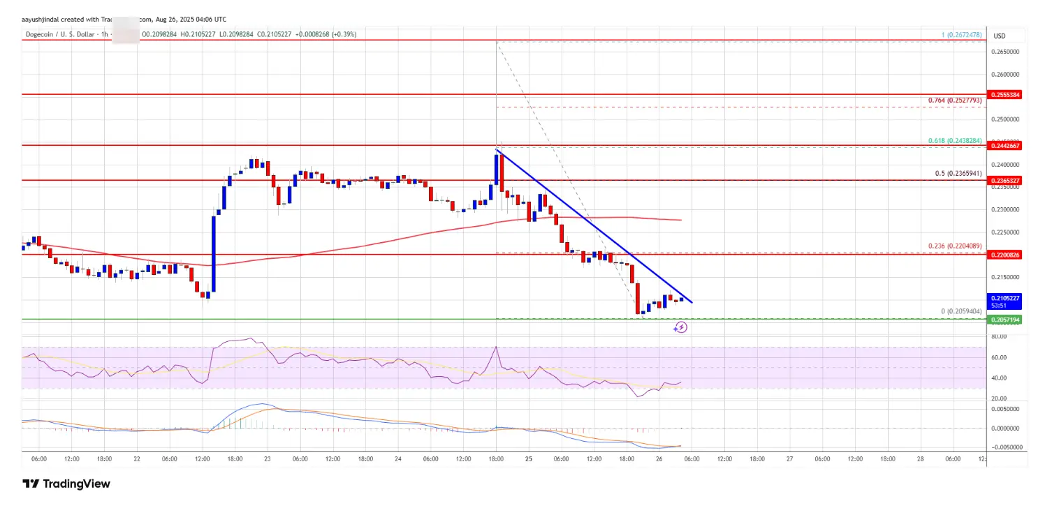 Analyse des prix de DOGE