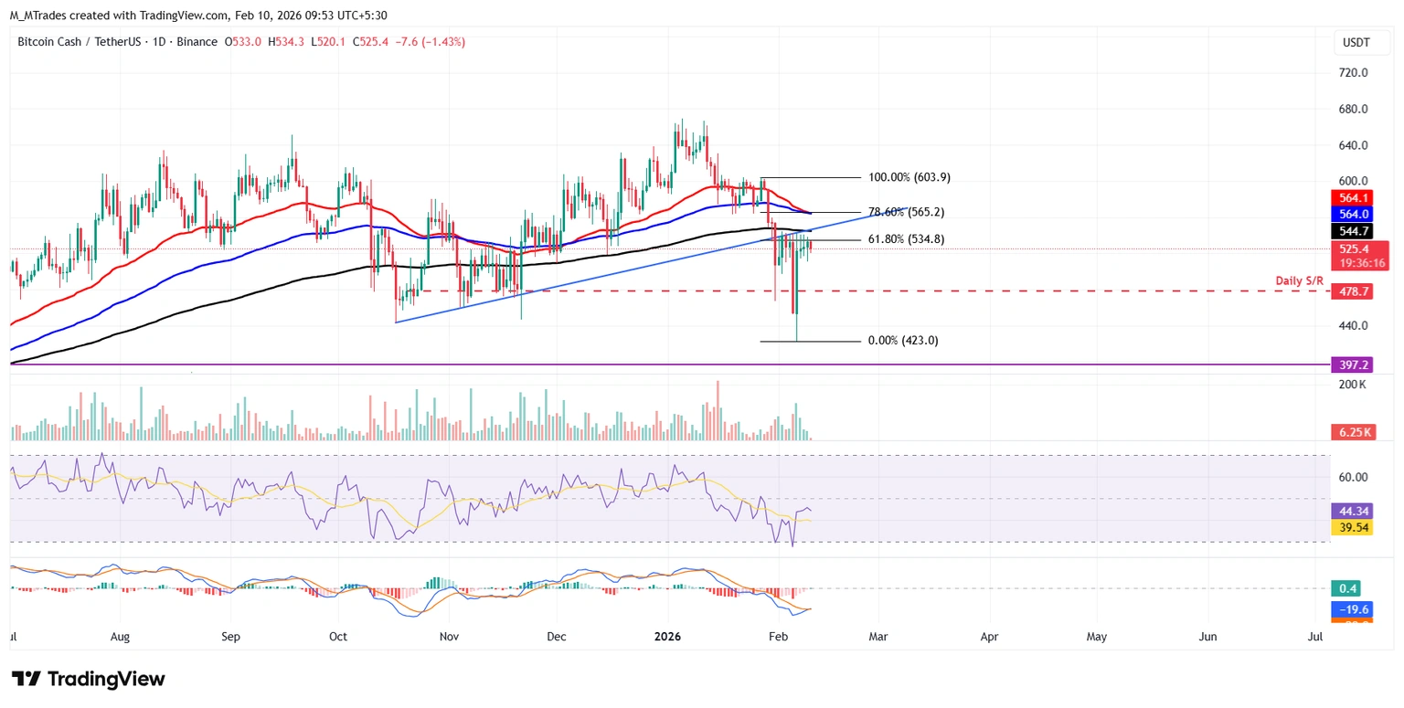 BCH дневной график
