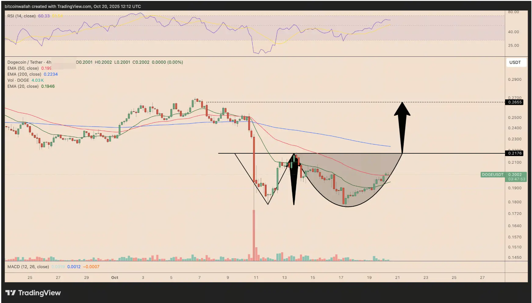 DOGE Price Prediction