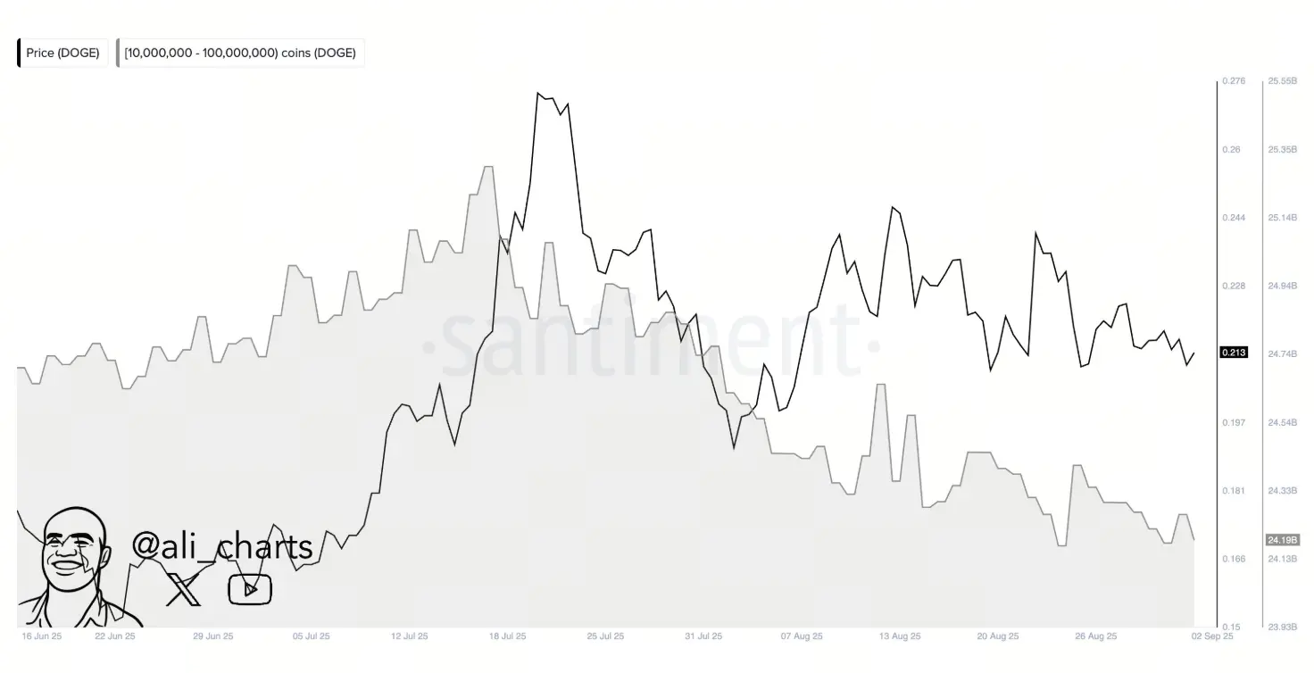 DOGE na cadeia indicador