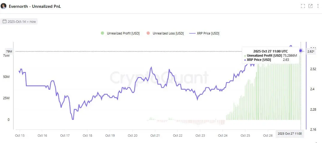 Evernorth XRP 未實現收益