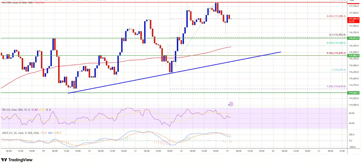 BTC fiyat analizi