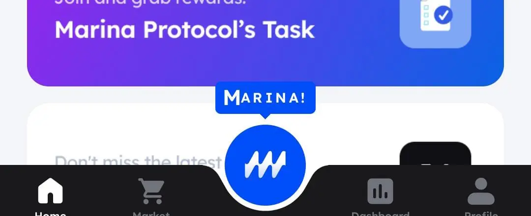 Marina Protocol Auto Mining