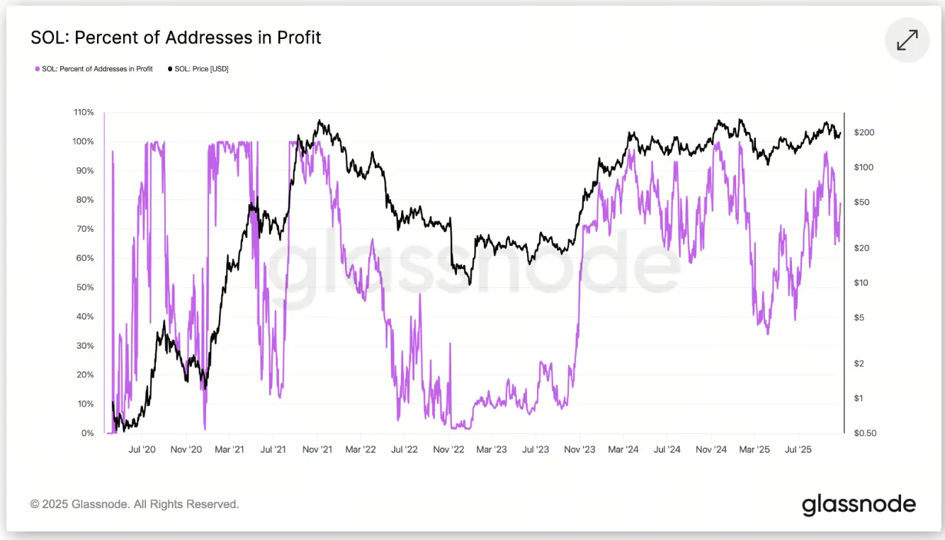 處於盈利狀態的Solana地址