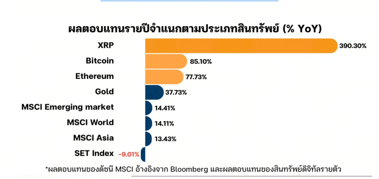 泰国投资资产表现对比