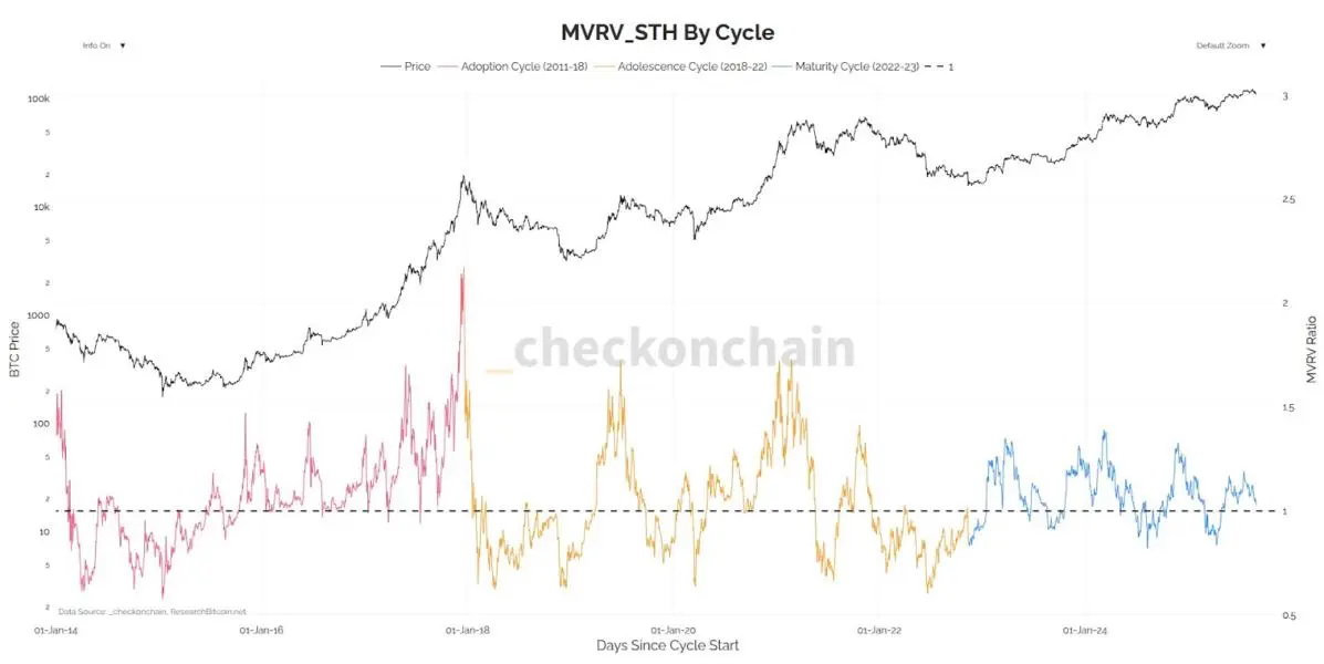 Bitcoin principal ciclo
