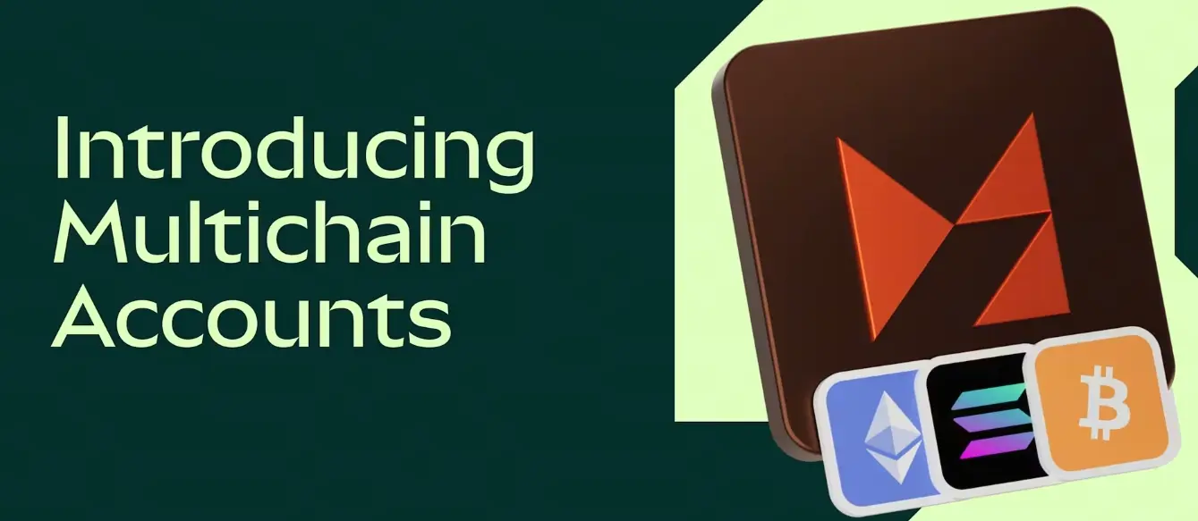 Metamask Multi-Chain Account