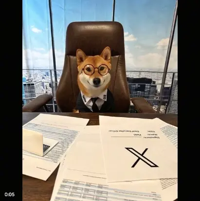 马斯克让 FLOKI 当 CEO