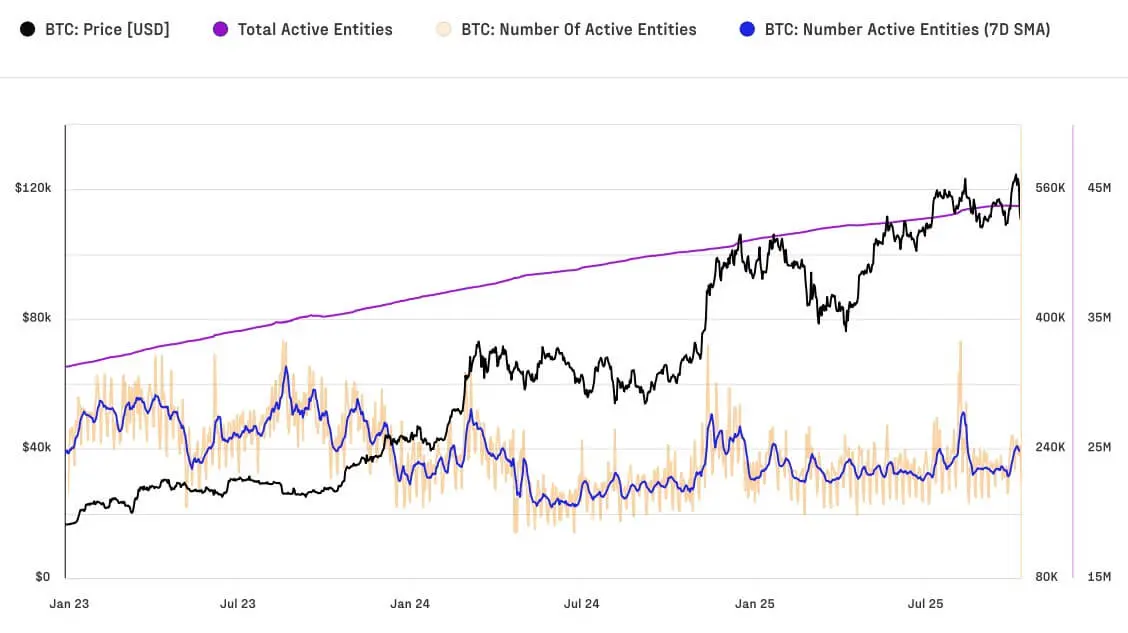 比特幣活躍實體