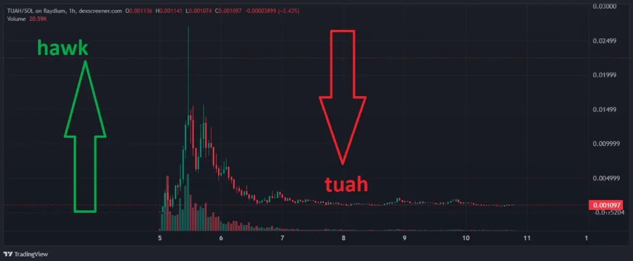 Hawk Tuah Coin