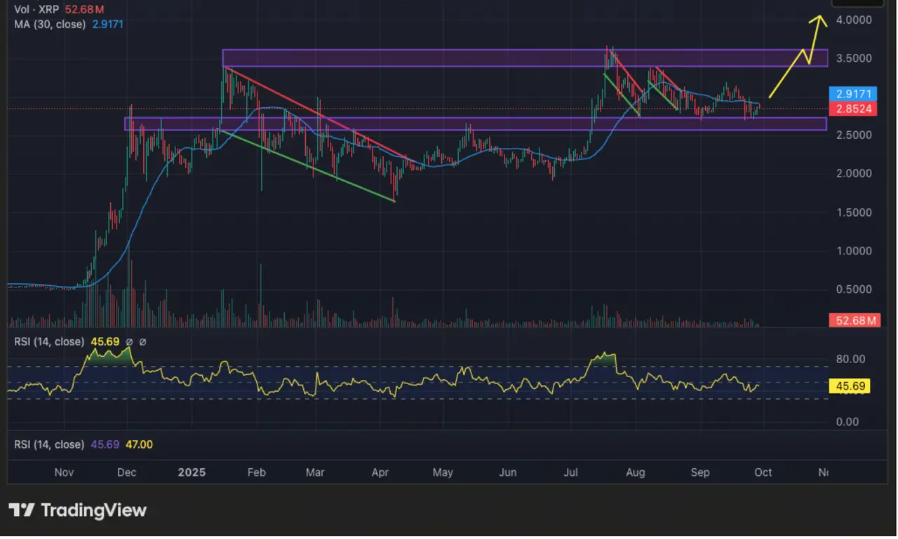 XRP价格分析