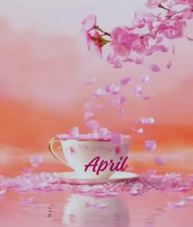 repost-content-media