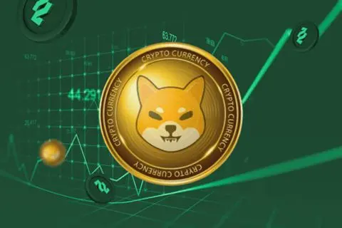 repost-content-media