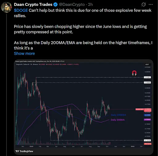 Esto puede brindar motivación cuando el precio de Dogecoin (DOGE) está teniendo dificultades
