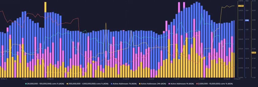 Cá voi đã mua dip: Giá Cardano có sẵn sàng cho $1.00 vào tháng 8 không?