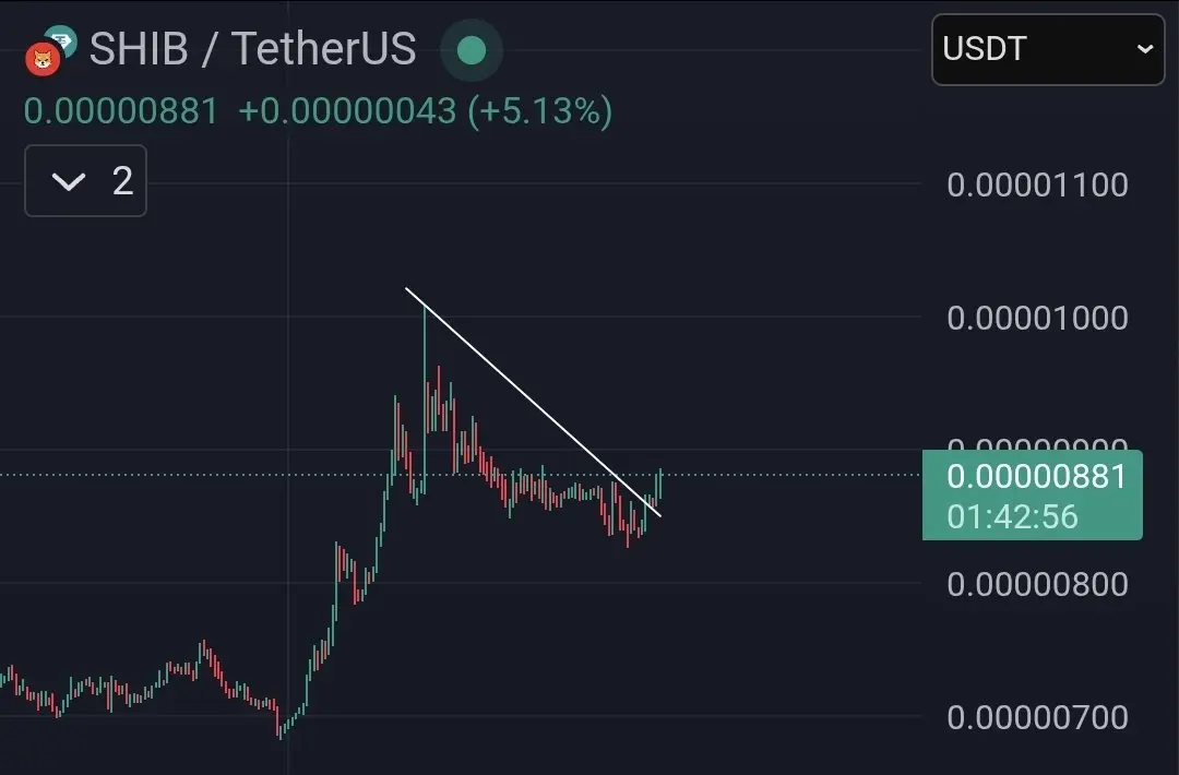 Shiba Inu breaks above the descending triangle