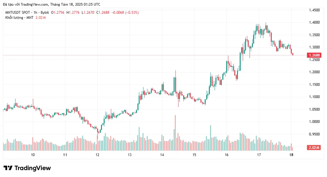 L'activité des baleines peut stimuler le MNT pour prendre des bénéfices