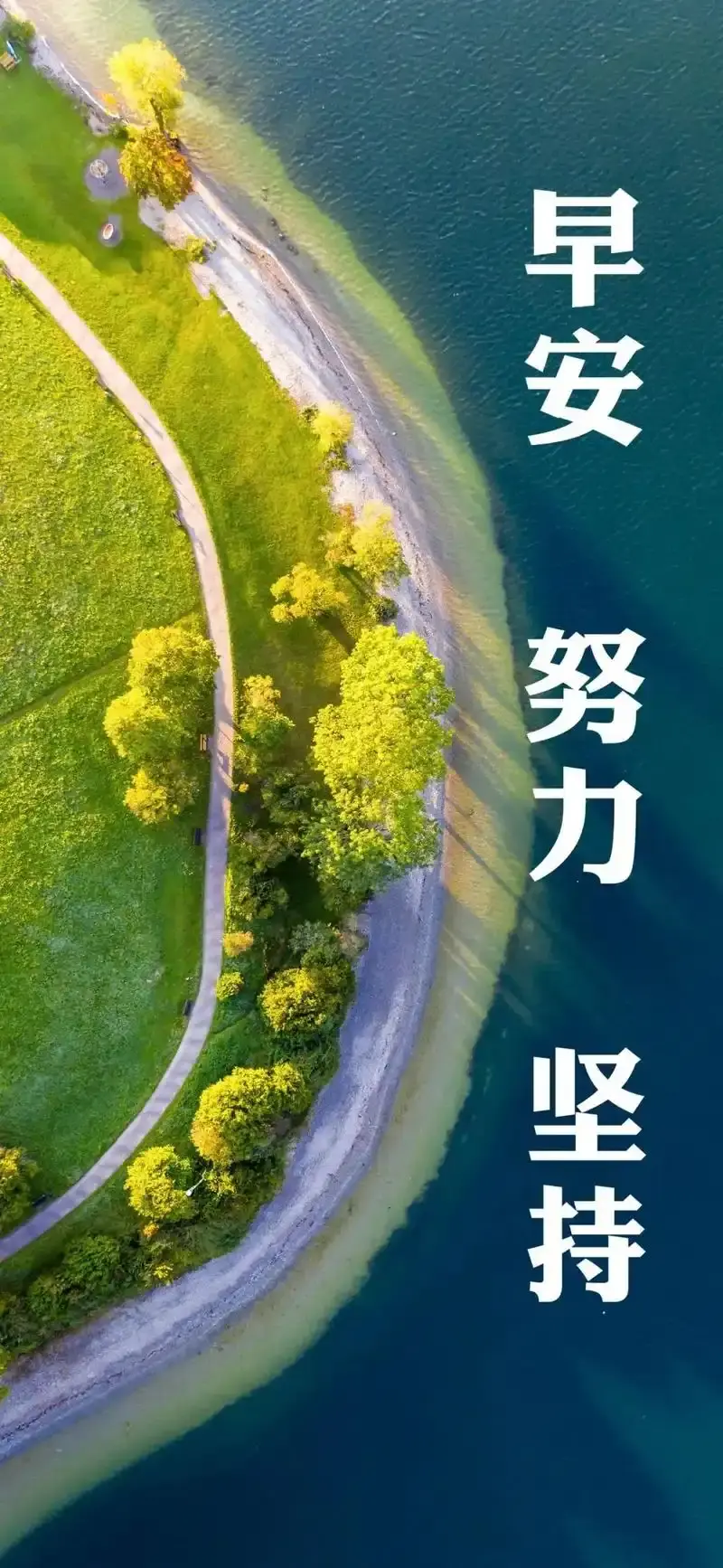 repost-content-media