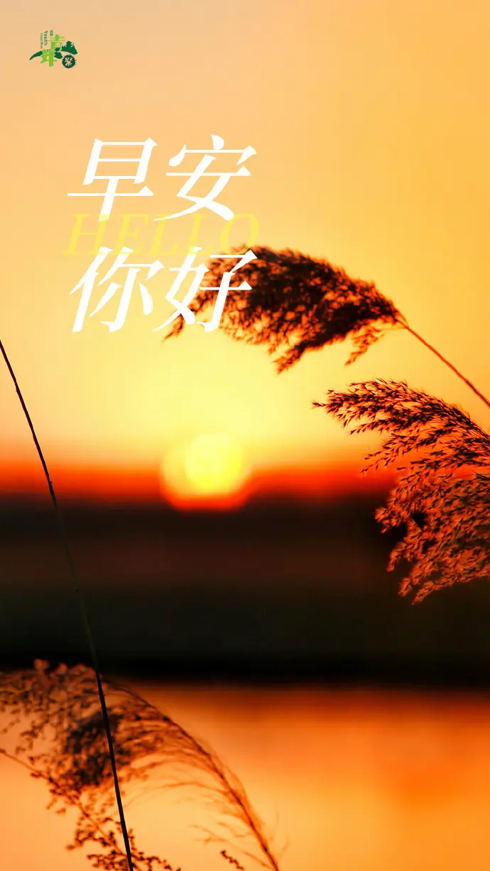 repost-content-media