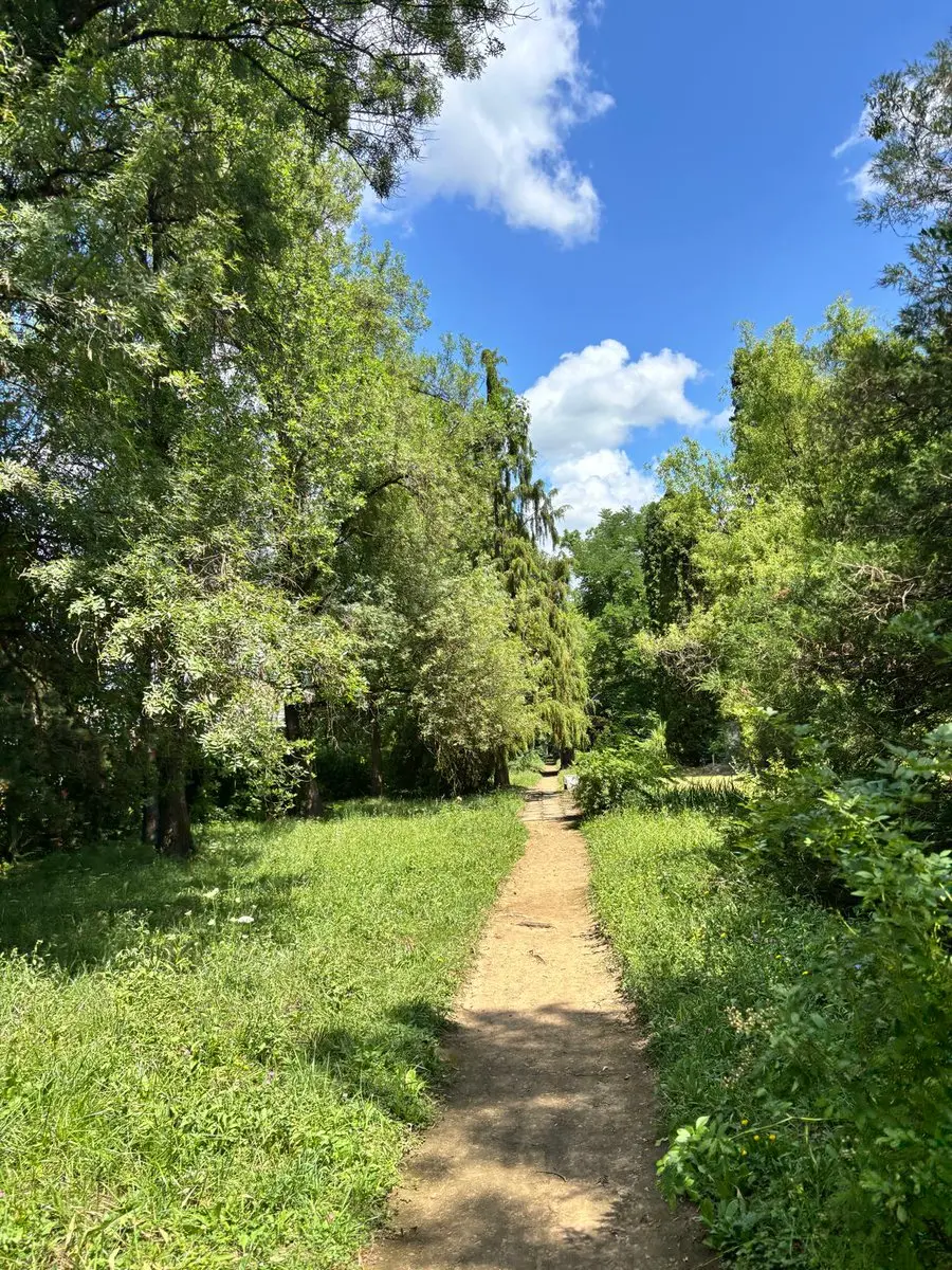 post-image