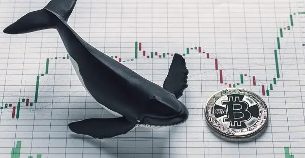 比特幣市場在大型投資者損失中探索反彈潛力，機構資金流入和減少槓杆被視爲積極信號。[圖片：Shutterstock]