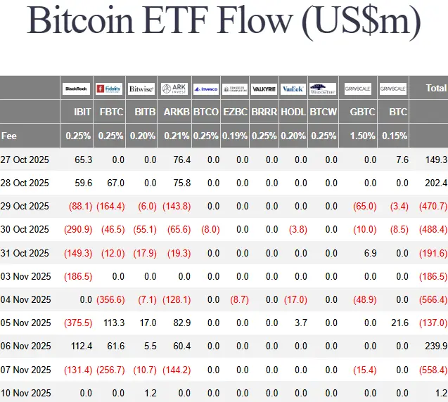 Bitcoin ETFleri tarihlerinin en büyük ikinci düşüşüyle karşı karşıya.