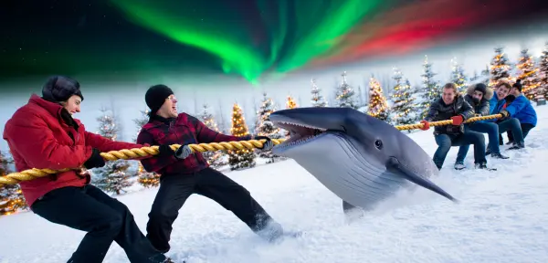 聖誕反彈中哪類投資者將產生影響力