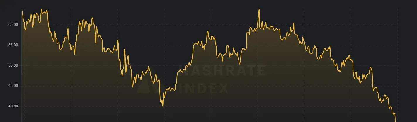 Preço do Hash do Bitcoin ao longo do último ano.