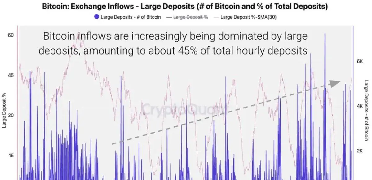 Gráfico de grandes depósitos de flujos de intercambio de Bitcoin