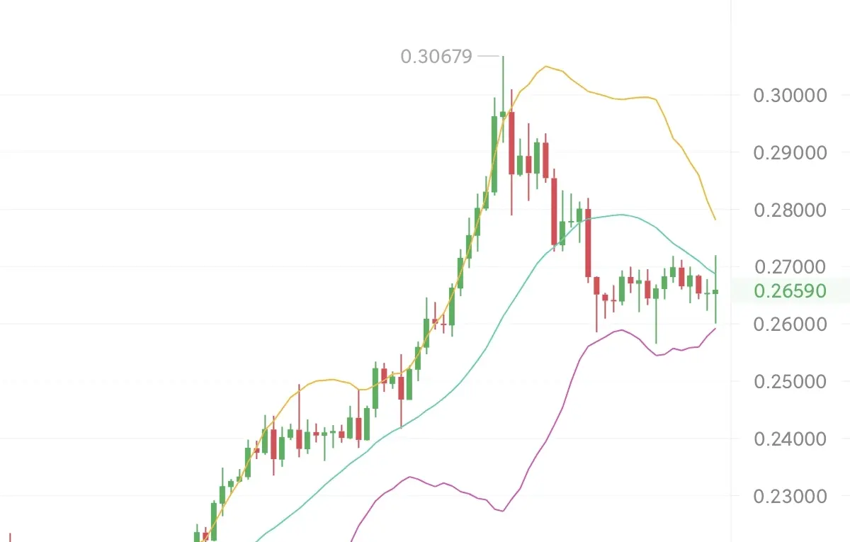 repost-content-media